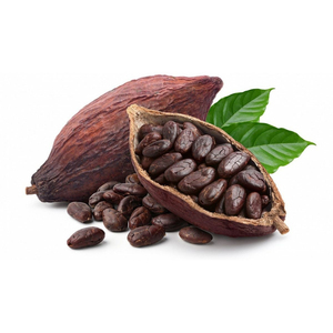 Fèves de cacao de qualité supérieure, commandes en gros, qualité alimentaire, prêtes à être expédiées, fournisseur d'exportation fiable - Product Image 4