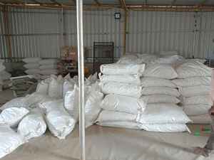 Cassia Alata, Extrait de Cassia Alata, Feuille de Cassia Alata, Poudre de Cassia Alata, Fournisseur de Cassia Alata, Vente en Gros d'Extrait de Cassia Alata - Product Image 3