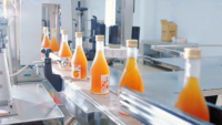 Fournisseur de thé glacé aux fruits frais de myrtille 330 ml, directement de l'usine OEM, avec saveur de fruits premium, canettes personnalisées imprimées, vente en gros