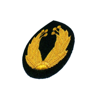 Parches Termoadhesivos para Gorras con Diseño de Letras Bordadas, Parche de Logotipo Personalizado, Parche de Tela de Sarga Bordado para Ropa - Product Image 1