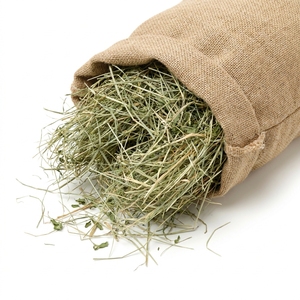 Heno de Alfalfa de Alta Calidad, Alimento para Animales Rico en Fibra y Nutrientes para Ganado, Granjas Lecheras y Suministro Comercial de Alimento - Product Image 3
