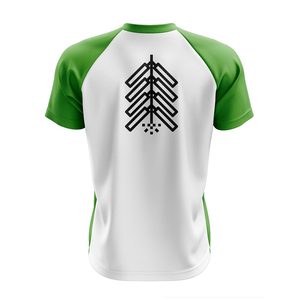 Fournisseur OEM de t-shirts pour hommes à col en V, haute qualité, respirants, séchage rapide, sur mesure, vente en gros à prix avantageux, 100% polyester. - Product Image 6