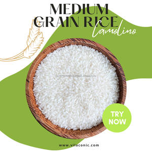 Arroz blanco orgánico de Vietnam, arroz saludable de textura dura de proveedor superior, uso de cocina de alta calidad, arroz roto - Product Image 4