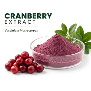 Extracto de Arándano en Polvo, Vaccinium Macrocarpon, Extracto Herbal en Polvo Fino para Fórmulas Alimenticias y Nutricionales - Product Image 1