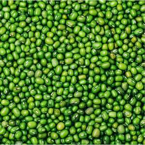 Wholesale Dried Mung <b>Bean</b>/Moong Dal Seed/Sprouting Seeds Mung <b>Bean</b> Origin Green Mung <b>Beans</b> Wholesale Splits Green Mung <b>Beans</b> - Product Image 6