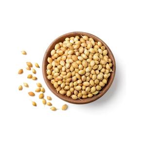 Suministro al por Mayor de Semillas de Cilantro de la India, Especias y Hierbas de Primera Calidad a Precio Económico - Product Image 5