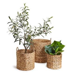 Panier en jacinthe d'eau de qualité exceptionnelle pour la présentation de fleurs, paniers multi-usages tissés à la main - Product Image 6
