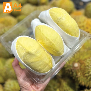 ทุเรียนมันทองพรีเมียม รสหวานธรรมชาติ เนื้อแท้ รสชาติทุเรียนแท้ 500 กรัม แพ็คขายส่ง อายุการเก็บรักษา 14 วัน - Product Image 2