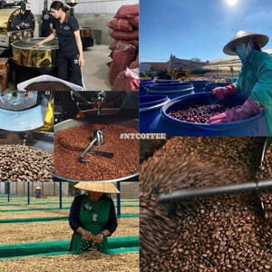 เมล็ดกาแฟโรบัสต้าสดใหม่จากโรงงาน คุณภาพส่งออก คาเฟอีนสูง รับผลิตแบบ OEM/ODM - Product Image 6