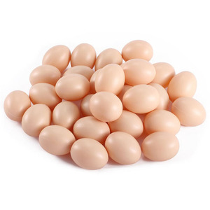 Huevos Frescos de Gallina de Granja de Primera Calidad con Cáscara Marrón, Huevos de Gallina de Granja en Venta - Product Image 5