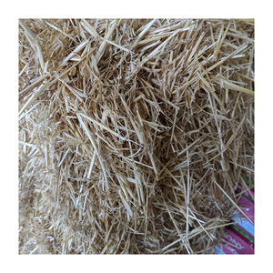 หญ้าฟางพร้อมส่งสำหรับการสั่งซื้อจำนวนมาก พร้อมบริการจัดส่งรวดเร็วและจัดหาสินค้าเชิงพาณิชย์ที่เชื่อถือได้ - Product Image 1