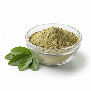 Extracto de Hoja de Guayaba en Polvo, Extracto de Hoja de Psidium guajava, Extracto Herbal Botánico Natural, Proveedor y Exportador al por Mayor - Product Image 1
