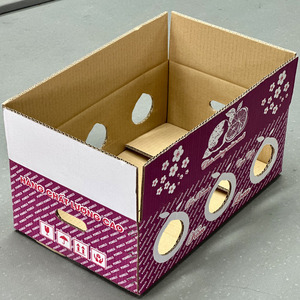 Custom Eco-Friendly Recycled Materials Packaging <b>Box</b> for Fresh Pomelo Fruit | Agricultural Produce Carton Export Wholesale - Product Image 6