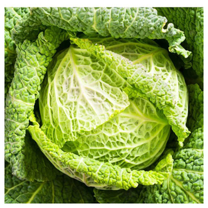 Vegetales Frescos de Alta Calidad, Apio Verde y Repollo a Precio Económico de Fabricante - Product Image 2