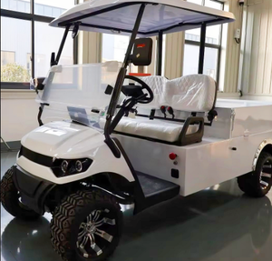 Nuevo Carro de Golf Eléctrico Blanco de 2 Plazas con Plataforma de Carga, Batería de Litio de 48V/60V/72V, Carro de Ocio para Ciudad y Exteriores - Product Image 3