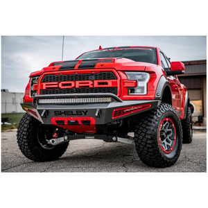 Ford F-150 Shelby Baja Raptor 2019 - Product Image 1