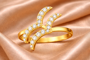 Anillo de Oro con Signo del Zodíaco Acuario, Joyería con Diamantes CZ, Regalo para Ella con la Piedra de Nacimiento de Enero/Febrero - Product Image 3