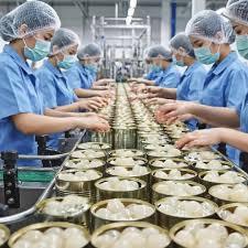 Litchis vietnamiens frais en conserve de qualité supérieure, en sirop épais, 565g par boîte, fruits tropicaux en conserve de haute qualité en provenance du Vietnam - Product Image 5