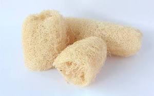 Vietnam Natural Loofah Sponge Body Scrubber Luffa Bath Sponge for Shower Exfoliating and Eco Friendly Personal Care - Product Image 3
