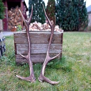 เขากวางแดงคุณภาพพรีเมียมที่หลุดร่วงตามธรรมชาติ สำหรับผู้ซื้อขายส่งที่ต้องการเขากวางทั้งชิ้นที่แข็งแรงและสะอาด - Product Image 6