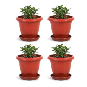 ZARA ENTERPRISES ZE4033 Juego de 12 Macetas de Plástico Resistentes de 12 Pulgadas, Diseño Bonito para Hogar, Jardín y Plantas de Semillero (Blanco) - Product Image 4