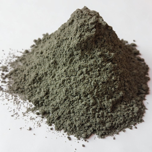 Polvo de Kalmegh 100% Premium |   Ingrediente Herbal Natural de Andrographis Paniculata |   Proveedor Mayorista de Exportación a Granel de Alimentos de la India - Product Image 2