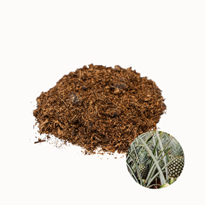 Oferta Especial: Material de Alimento para Animales a Base de Cáscara de Piña, Estándar Internacional, Empacado en Bolsas de Plástico de 10 kg - Product Image 1