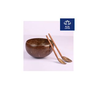 Tazón de Coco Ecológico, Seguro y Limpio, Ideal para Servir Sopa y Arroz, Venta Directa - Product Image 1