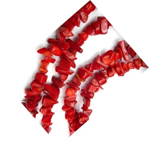 <span class=keywords><strong>Perles</strong></span> de <span class=keywords><strong>corail</strong></span> rouge Apple Coral Chips, <span class=keywords><strong>perles</strong></span> de pierres précieuses naturelles - Product Image 1