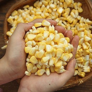 เมล็ดข้าวโพดแช่แข็งพรีเมียมจากเวียดนาม IQF ข้าวโพดหวานสีเหลือง สำหรับขายปลีก ขายส่ง และโซลูชั่นการผลิตอาหาร - Product Image 1