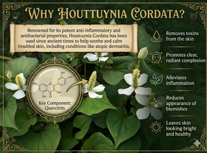 Mascarilla Facial BIAIfekt Coreana con Colágeno de Heartleaf, Antiacné, Cuidado de Poros, Blanqueadora, Ampolla, 30 Días, Gauze Cell OEM K-Beauty 25ml - Product Image 2