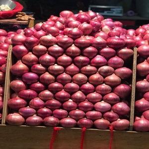 หัวหอมแดงสดเกรดพรีเมียม เก็บได้นาน 12 เดือน จัดส่งตรงจากซัพพลายเออร์อินเดียสำหรับการส่งออกจำนวนมาก - Product Image 6