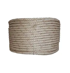 Nhà Sản Xuất Bán Buôn PP Danline Rope 6-46Mm