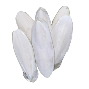 BLUE LOTUS Os de Seiche Durable Riche en Calcium, Vitamines et Minéraux – Complément pour Reptiles et Oiseaux - Product Image 1