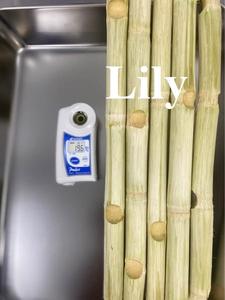 Palitos de caña de azúcar pelados/sin pelar congelados, dulces y jugosos/lirios - Product Image 3