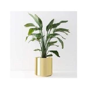 Jardinière haute en métal moderne pour intérieur, pot de fleurs créatif pour jardin, balcon et toit d'hôtel, maison et complexes hôteliers - Product Image 4