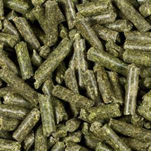 Granulés d'alfalfa prêts à l'exportation pour l'industrie alimentaire animale, riches en fibres, améliorant les performances du bétail - Product Image 2