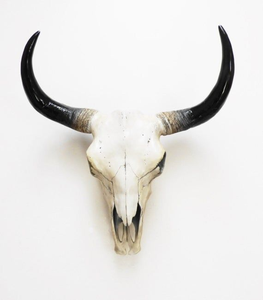 Handsome Hand Carved Hanging or Standing Buffalo Bull Head <b>Skull</b> Horn for Wall <b>Decor</b> - Product Image 6