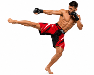 Premium Sublimation MMA Fight <b>Shorts</b> Men Custom No Gi BJJ <b>Grappling</b> Training <b>Shorts</b> Quick Dry Lightweight Breathable - Product Image 1