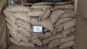 Granos de Café Robusta S18 de Alta Calidad, Tostados Especialmente en Bolsa de Yute de 60 kg. Contacto +84 35 254 2206 - Product Image 3