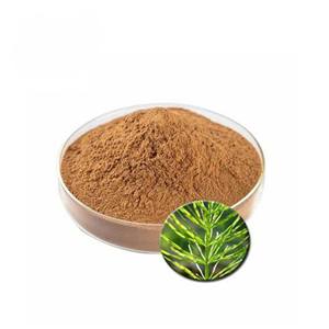 OEM Pure Natural Horsetail Extract Powder <b>for</b> Hair & Skin Care Premium Quality Equisetum Arvense Powder <b>for</b> Herbal Formulations - Product Image 4