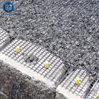 Géogrille à prix direct usine pour la construction routière et la stabilisation des sols
