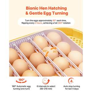 Incubadora Automática de Huevos 24 Unidades con Visor LED, Control de Temperatura y Humedad, Ventana Transparente de 360°, Recarga Automática de Agua D0100XU4M6Y - Product Image 4