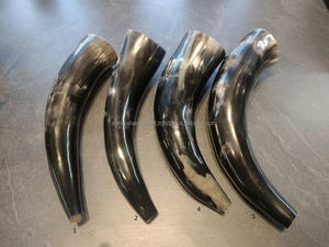 Cuerno de búfalo real que sopla buey adorno de estilo animal pulido - Product Image 5