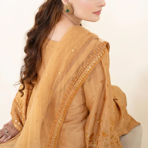Costume 3 Pièces de Luxe pour Femme, Style Pakistanais, Broderie Lourde avec Dupatta en Chiffon, Personnalisé, Collection 2026, En Vente - Product Image 6
