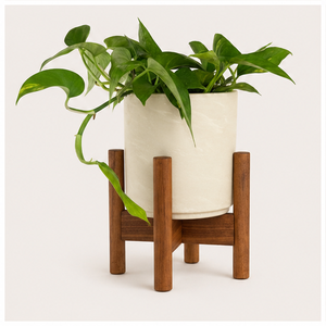 Modern Wooden Plant Stand Eco-friendly Solid Wood Indoor Planter <b>Holder</b> for Living Room Decor Floor Standing Flower <b>Pot</b> Rack - Product Image 6