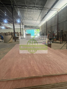 Contreplaqué décoratif intérieur en eucalyptus avec placage Bintangor pour l'ameublement - Product Image 2