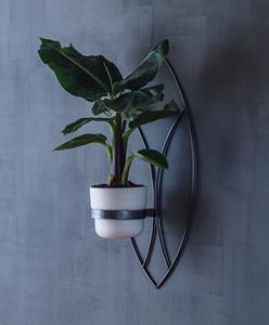 Macetero contemporáneo de metal plateado para montar en la pared, perfecto para exhibición en interiores, decoración de paredes de cafeterías y decoración del hogar, procedente de la India. - Product Image 4