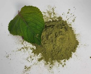 POLVO DE SHISO SECADO A PRECIO DE MAYORISTA / EXTRACTO NATURAL DE HOJA DE PERILLA EN POLVO PARA COSMÉTICOS - Product Image 4