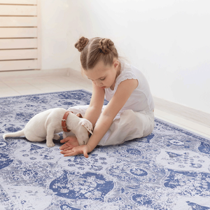 Set di Tappeti Lavabili MAVAL Blu 5x8, Dimensioni 5 X 8 - Product Image 5